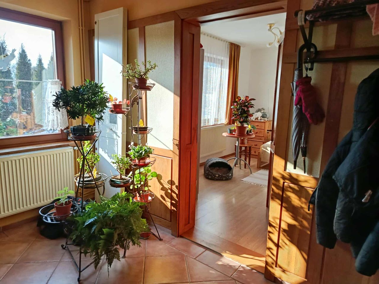 dom wolnostojący, 6 pokoi Dominikowice, brak. Zdjęcie 4