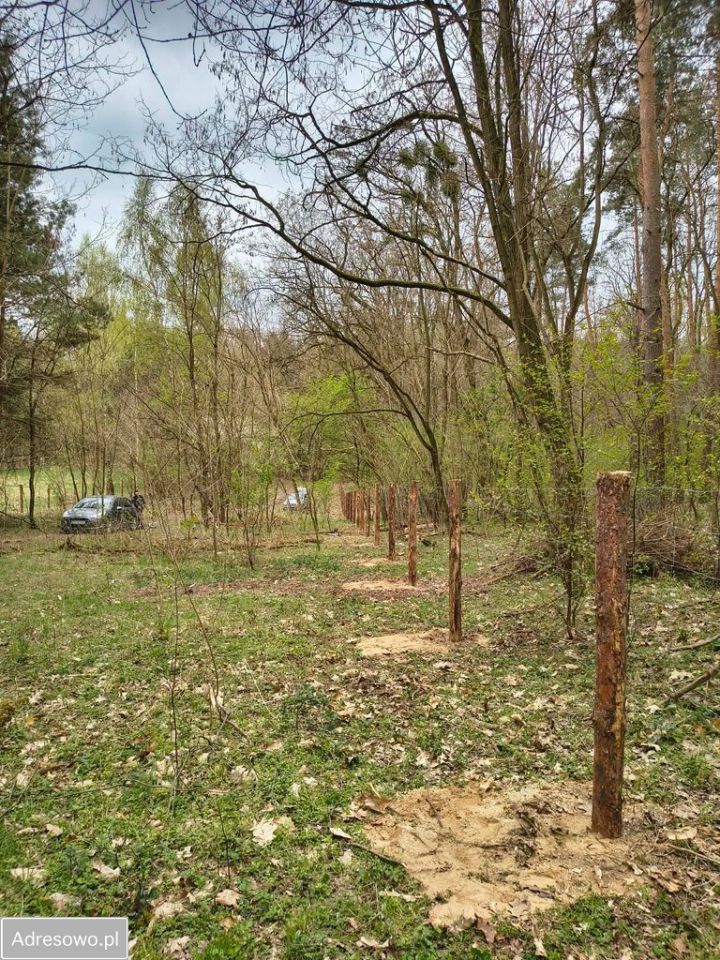 Działka budowlana Binowo. Zdjęcie 1