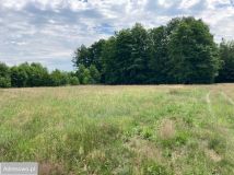 Działka rolna Ksawerów Nowy. Zdjęcie 1