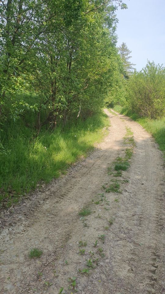 Działka leśna Rdzawka Rusnakówka. Zdjęcie 4