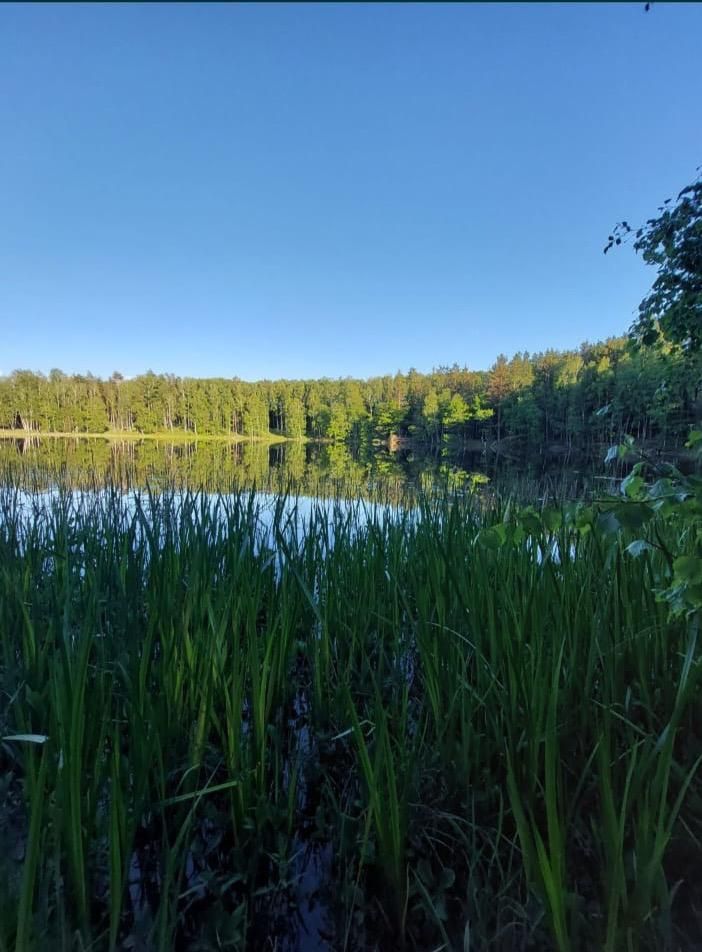 Działka budowlana Spore. Zdjęcie 2