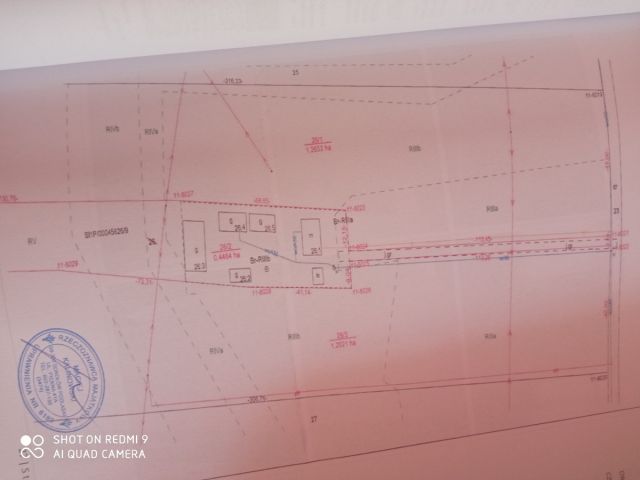 Działka siedliskowa Kupientyn-Kolonia. Zdjęcie 3