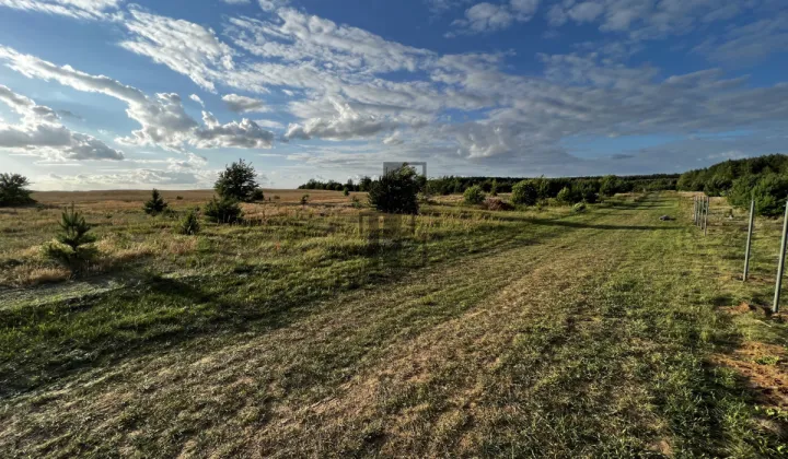 Działka rekreacyjna Gnojno