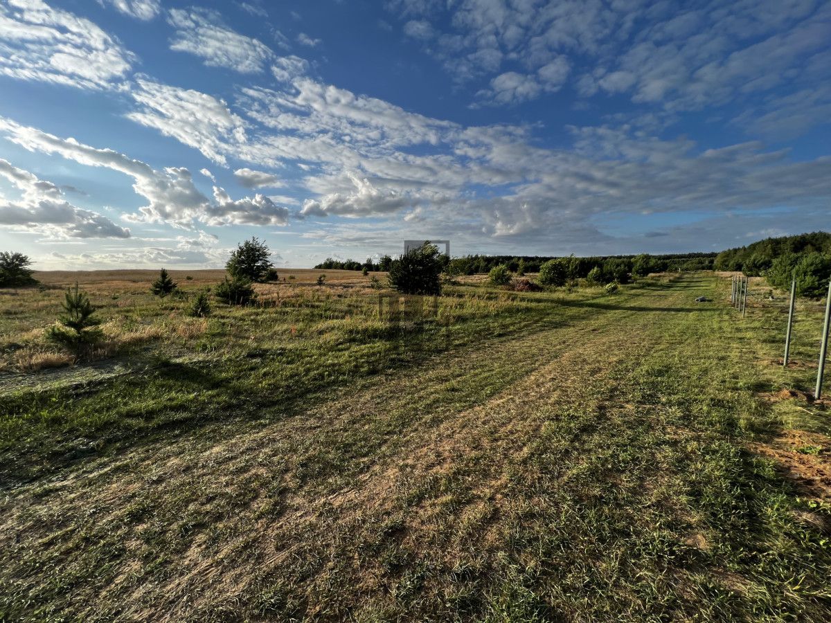 Działka rekreacyjna Gnojno