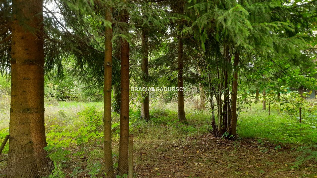 Działka rekreacyjna Lusina, ul. Przymiarki. Zdjęcie 9