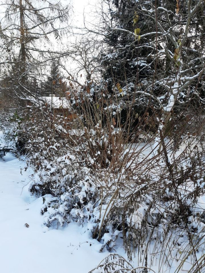 Działka budowlana Grodzisk Mazowiecki. Zdjęcie 2