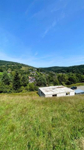 dom wolnostojący Krynica-Zdrój Słotwiny. Zdjęcie 9