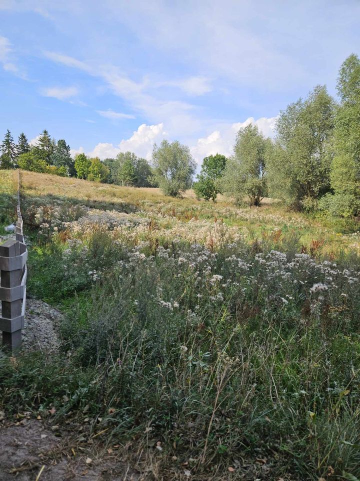 Działka rolna Karwie. Zdjęcie 2