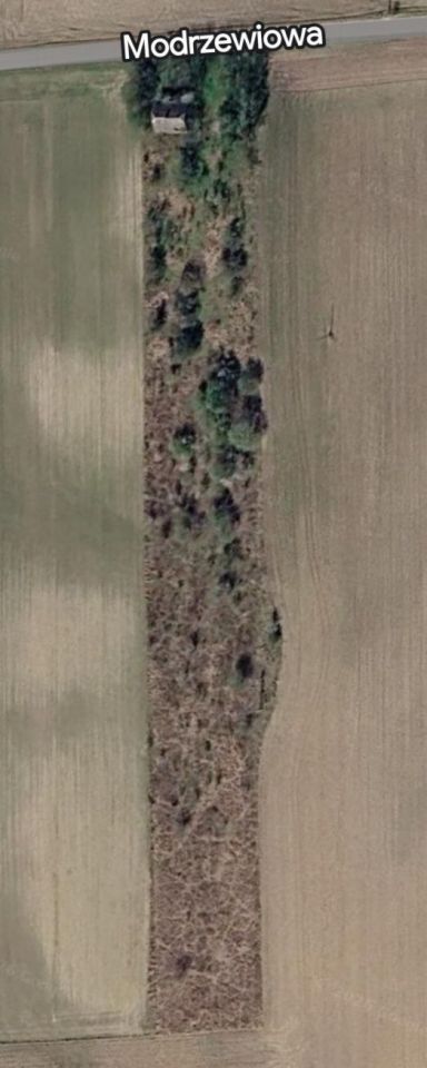 Działka rolno-budowlana Więckowice. Zdjęcie 2