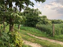 Działka budowlana Koszwały, ul. Topolowa. Zdjęcie 3