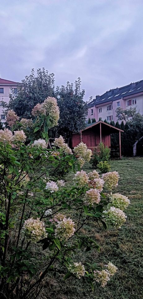 Działka rekreacyjna Szczecin Gumieńce, ul. Przygodna