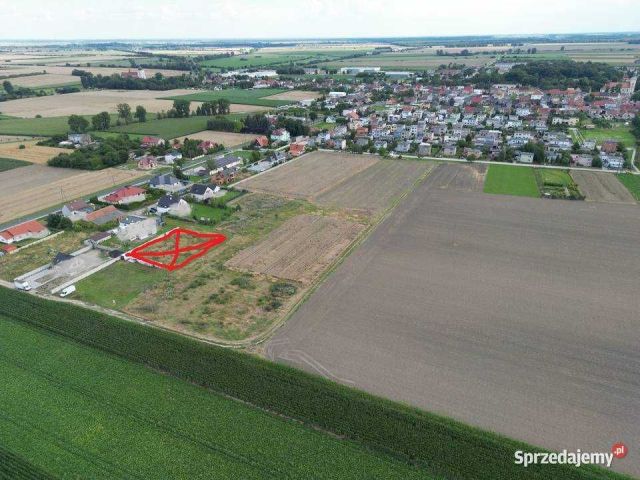 Działka budowlana Borek Wielkopolski. Zdjęcie 1