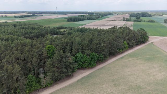 Działka rekreacyjna Gromadzyn. Zdjęcie 1