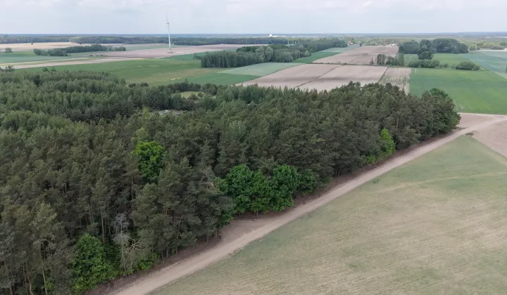 Działka rekreacyjna Gromadzyn