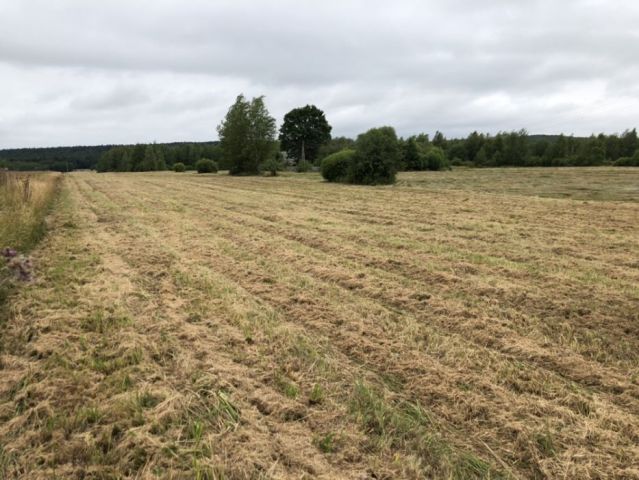 Działka rolno-budowlana Lechów. Zdjęcie 1