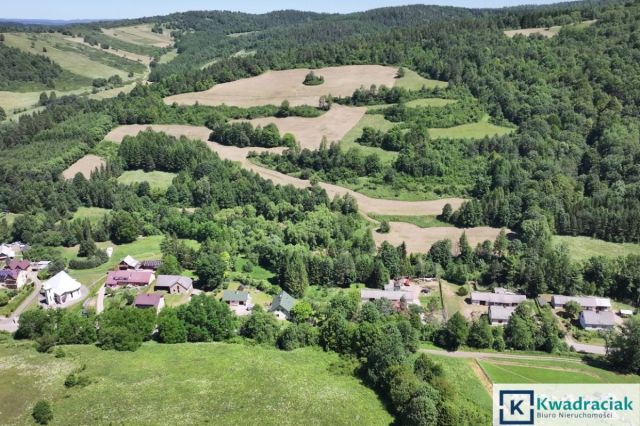 Działka rolna Stężnica. Zdjęcie 5