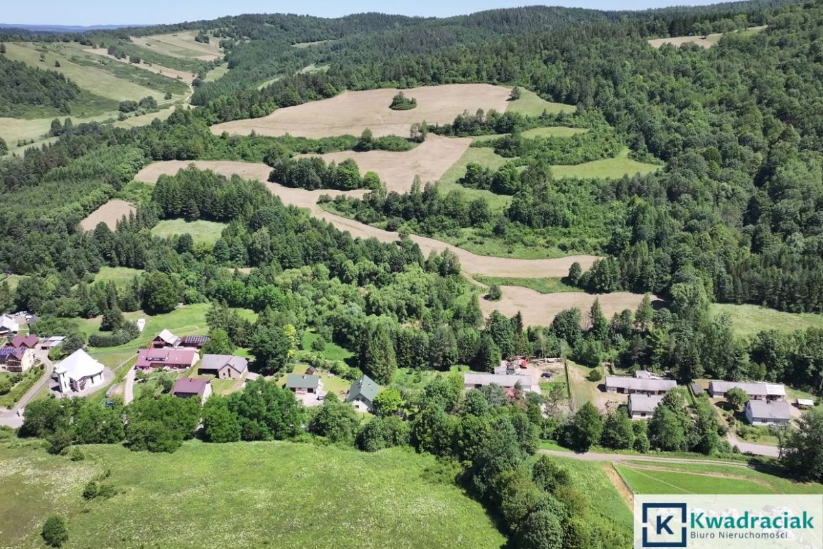 Działka rolna Stężnica. Zdjęcie 5