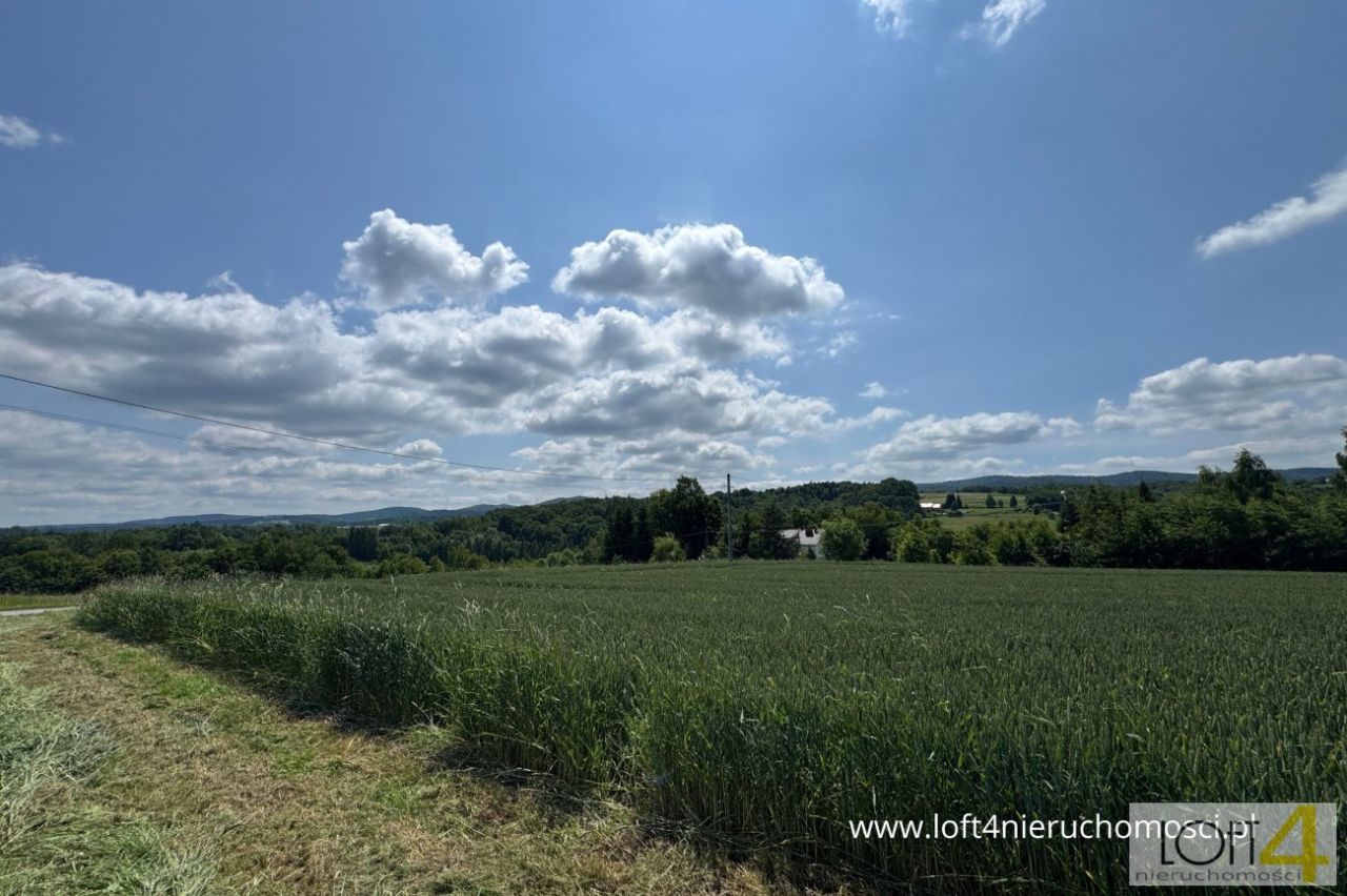 Działka budowlana Tuchów. Zdjęcie 4