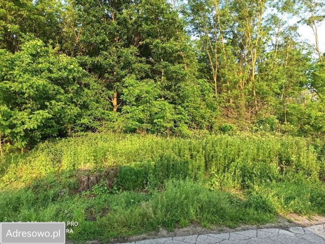 Działka rolno-budowlana Giżyce. Zdjęcie 1