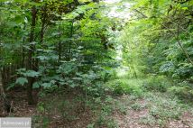 Działka Zofijówka. Zdjęcie 3