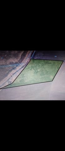 Działka rolna Bielice. Zdjęcie 1