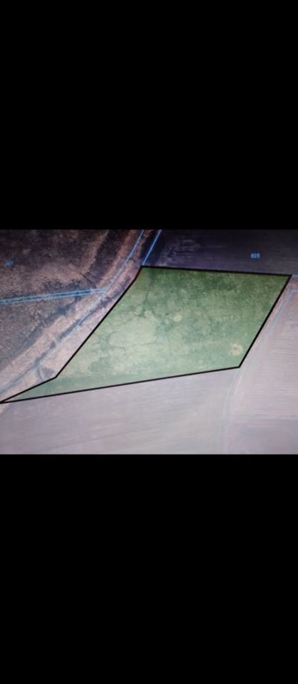 Działka rolna Bielice