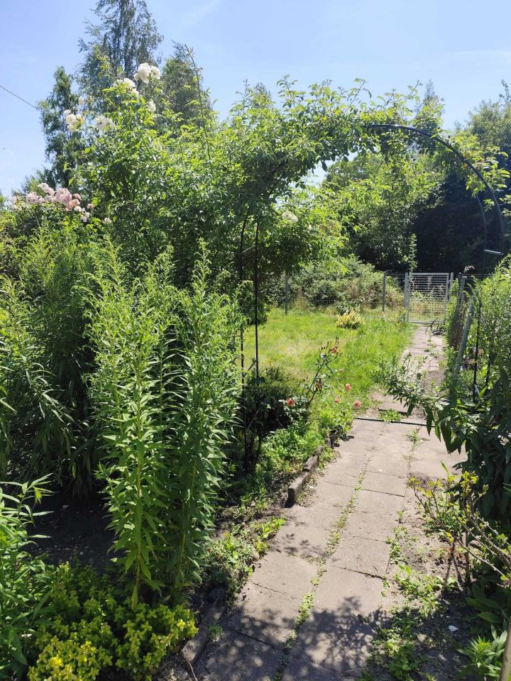 Działka rod Poznań Łazarz, ul. Klaudyny Potockiej. Zdjęcie 3