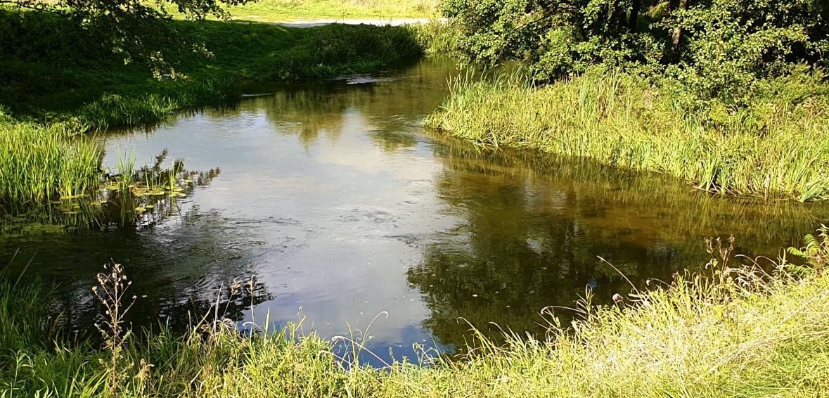 Działka budowlana Kotowina Ruda. Zdjęcie 4