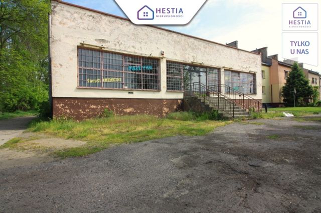 Lokal Reńsko. Zdjęcie 1