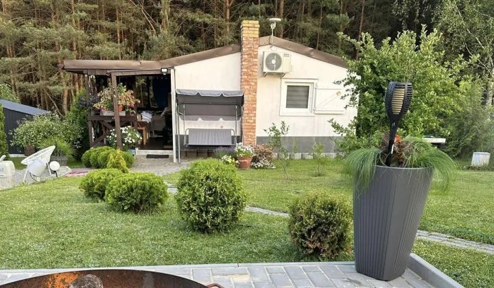 Działka rod Zielona Góra Nowy Kisielin, ul. Stary Kisielin-Wiosenna