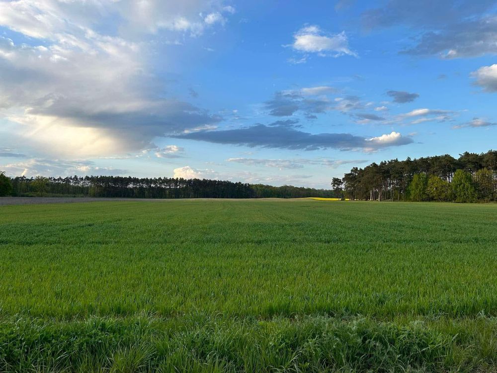 Działka budowlana Kłodawa