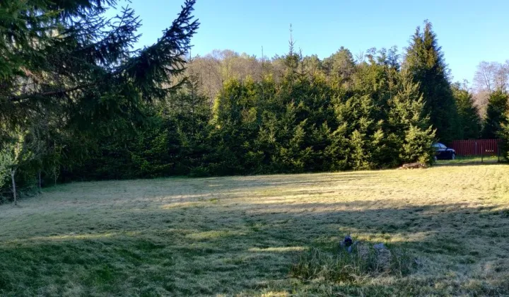 Działka rekreacyjna Jagielno