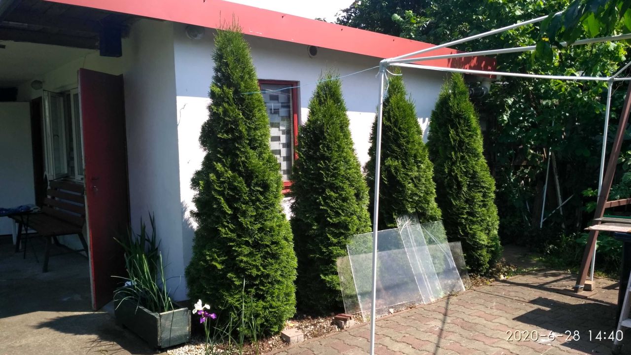 Działka rod Toruń. Zdjęcie 2