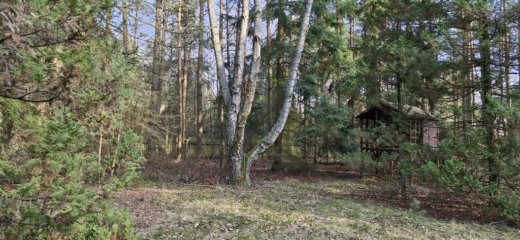 Działka rekreacyjna Malinówka. Zdjęcie 5
