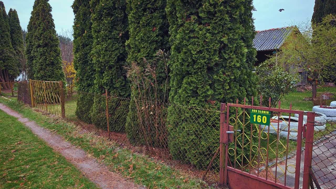 Działka rod Słomin, ul. 6 Sierpnia. Zdjęcie 3