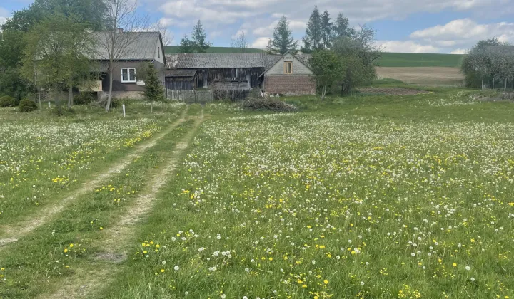 siedlisko Piaski Szlacheckie, Piaski Szlacheckie