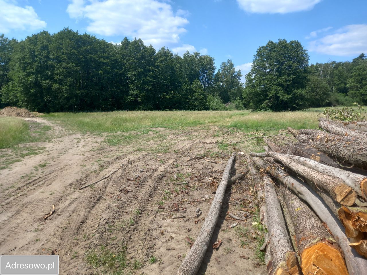 Działka rolna Droszków. Zdjęcie 9