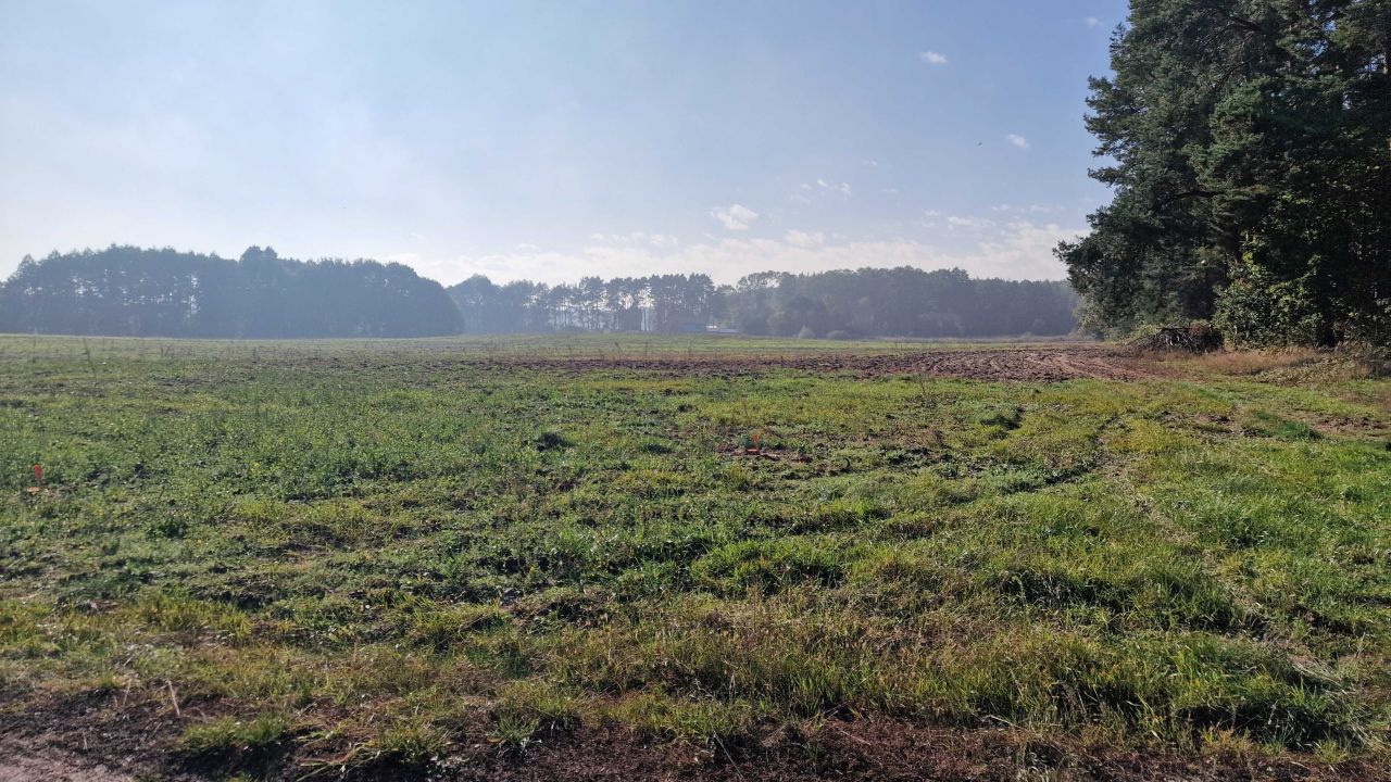 Działka rolno-budowlana Pszczew. Zdjęcie 5