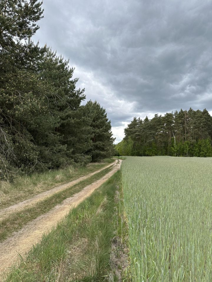 Działka rolno-budowlana Rogoźno, ul. Brzozowa. Zdjęcie 5