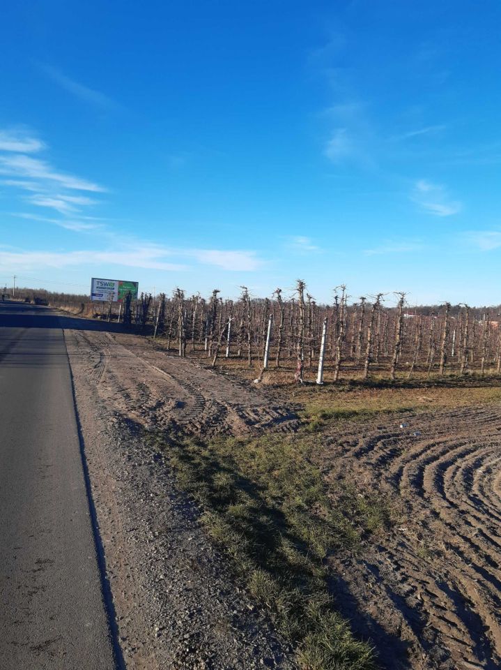 Działka rolno-budowlana Nowy Żelechów. Zdjęcie 7