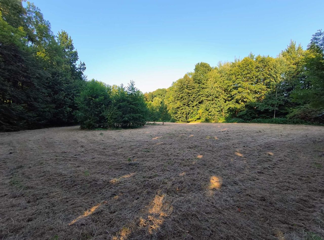 Działka rolna Witkowice. Zdjęcie 7