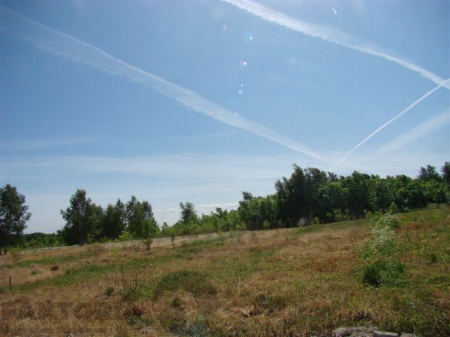 Działka budowlana Stara Dąbrowa. Zdjęcie 7