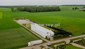 Lokal Koziki-Jałbrzyków Stok