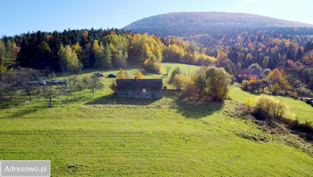 Działka budowlana Sadek. Zdjęcie 1
