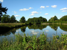 dworek, 11 pokoi Nowa Pogorzel, ul. Pałacowa. Zdjęcie 3