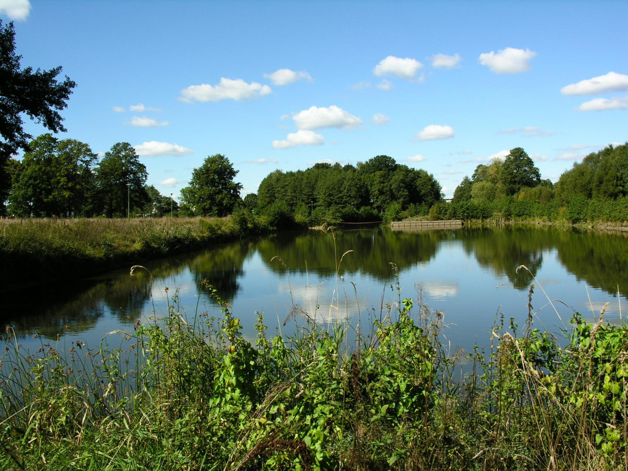 dworek, 11 pokoi Nowa Pogorzel, ul. Pałacowa. Zdjęcie 4