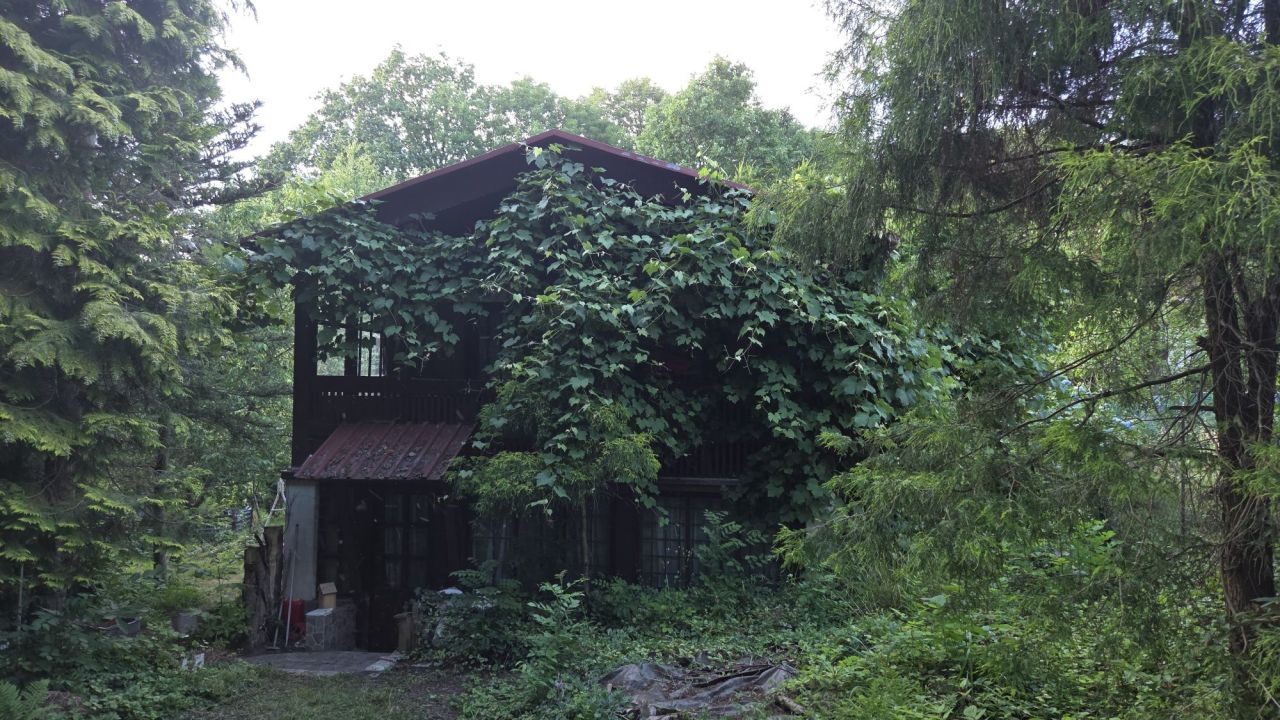 Działka rod Sygneczów. Zdjęcie 6