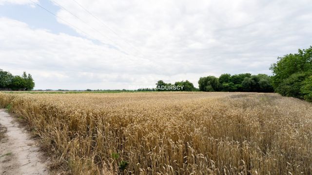 Działka inwestycyjna Kraków Nowa Huta, ul. Rusiecka. Zdjęcie 12