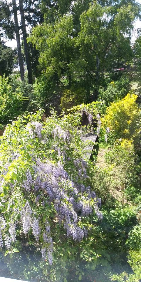 dom szeregowy, 4 pokoje Szczecin Pogodno, ul. Stanisława Leszczyńskiego. Zdjęcie 2