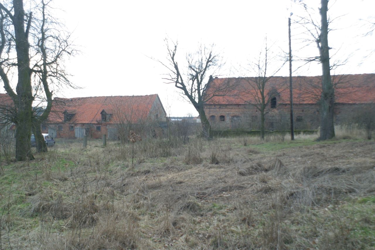 Działka siedliskowa Rogów Wołowski. Zdjęcie 7